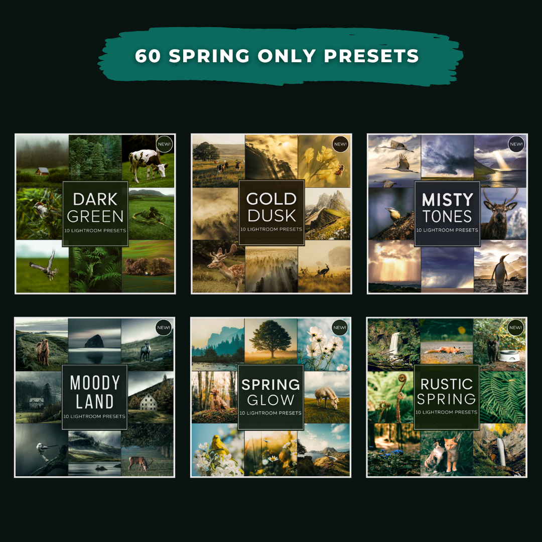 Spring Value Bundle 60 Capture One & LUT Presets Pack