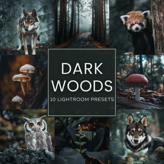 Dunkle Wälder Lightroom Presets Pack