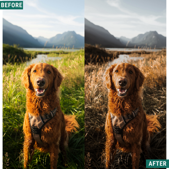 Gedämpfte Stimmung Lightroom Presets Pack