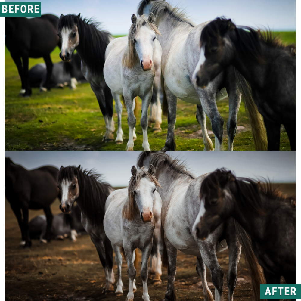 Gedämpfte Stimmung Lightroom Presets Pack