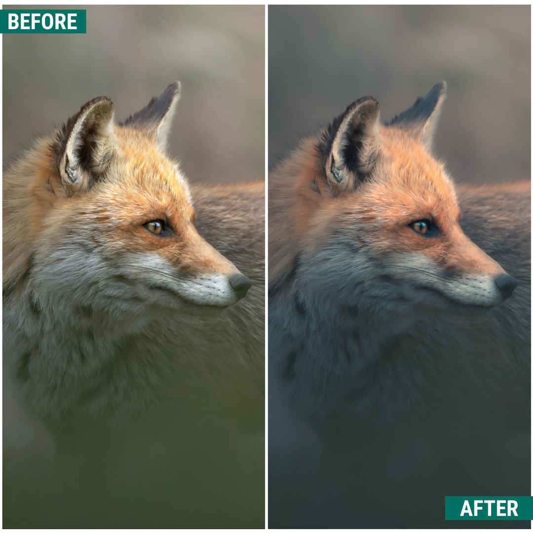 Moody Greens Lightroom Presets Pack