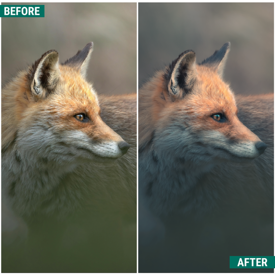 Moody Greens Lightroom Presets Pack