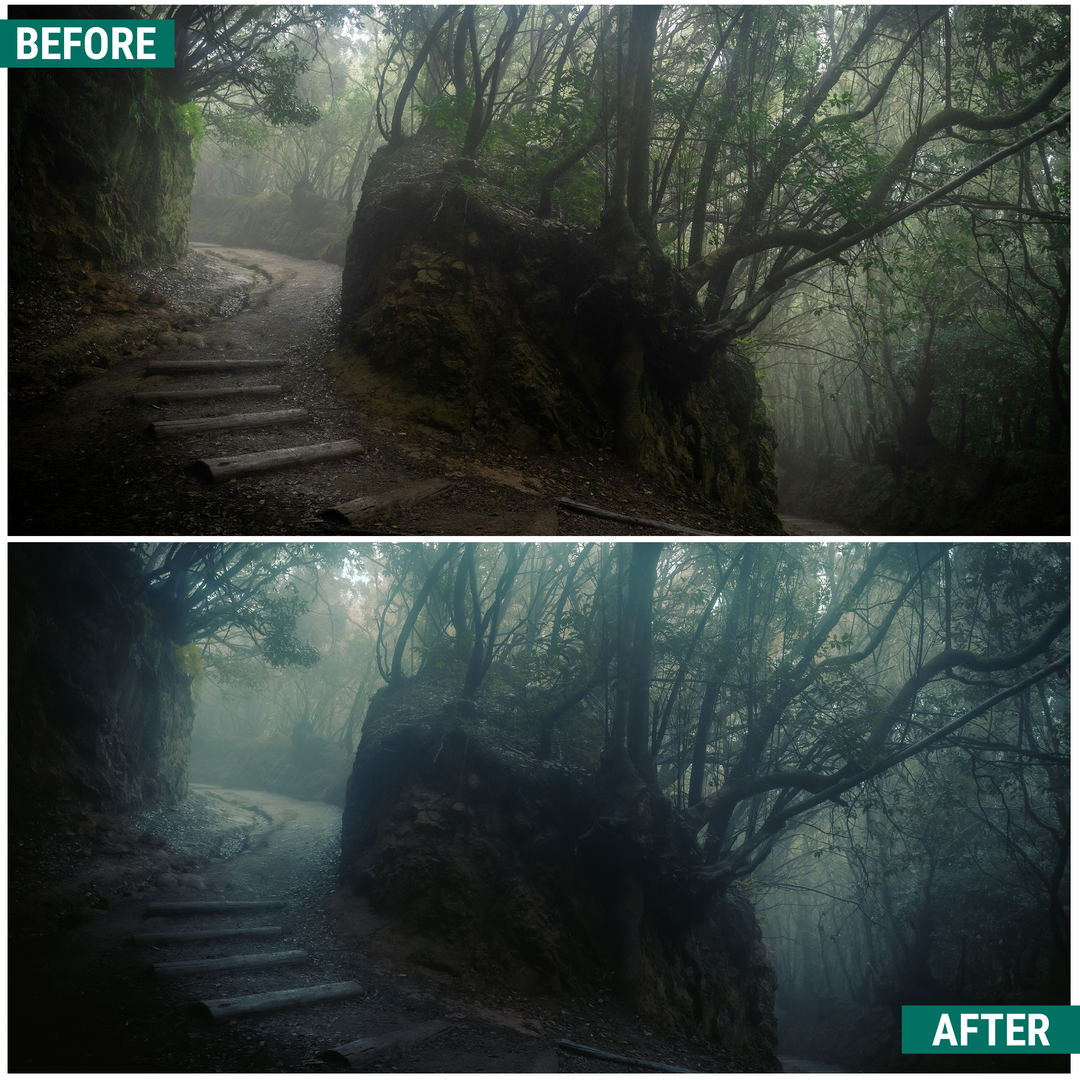 Moody Greens Lightroom Presets Pack