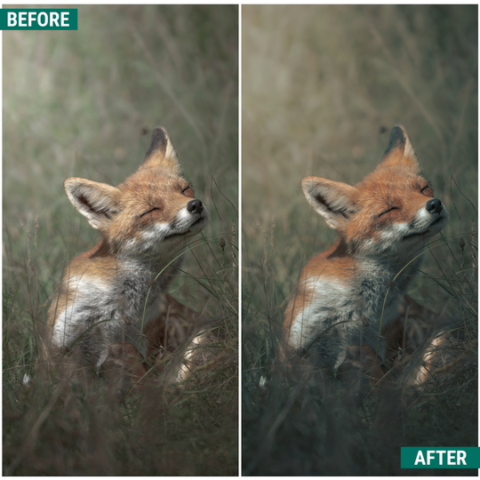 Moody Greens Lightroom Presets Pack