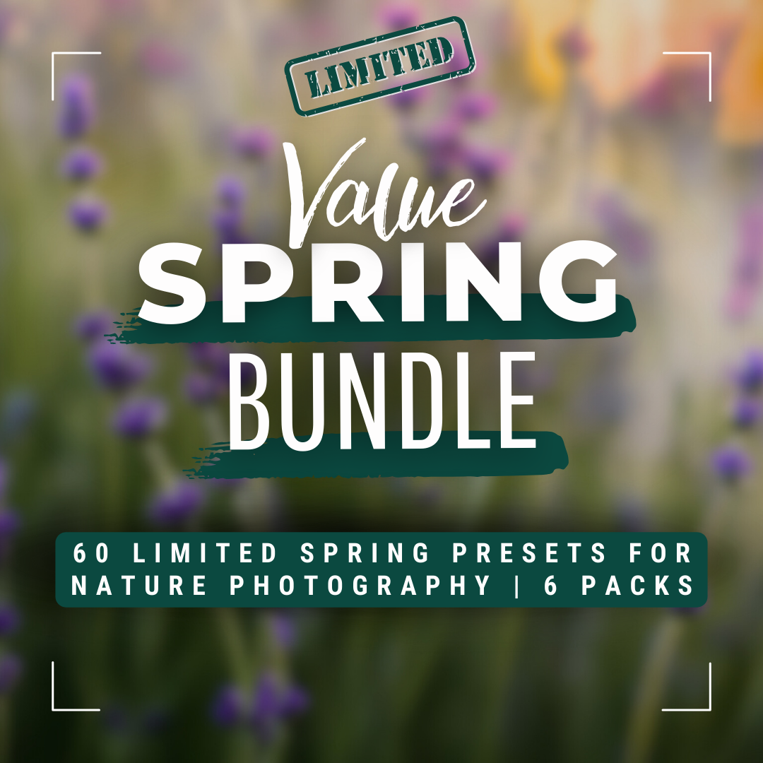 Spring Value Bundle 60 Capture One & LUT Presets Pack