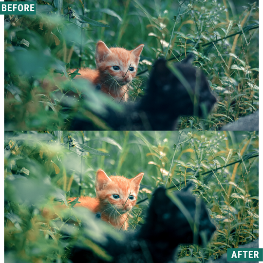 Helles Grün Lightroom Presets Pack