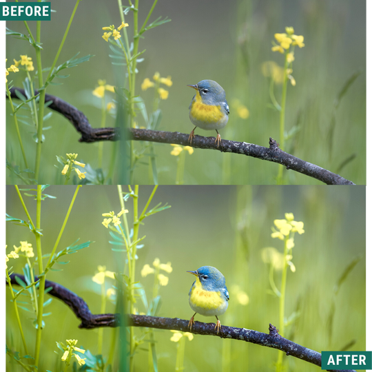 Helles Grün Lightroom Presets Pack