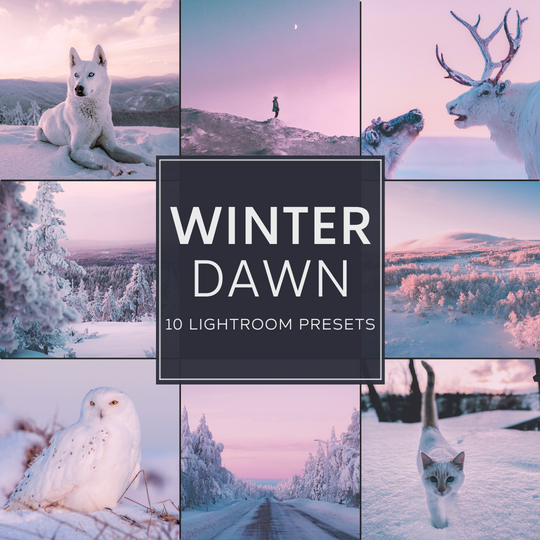 Winterdämmerung Lightroom Presets Pack