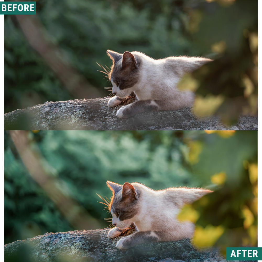 Helles Grün Lightroom Presets Pack