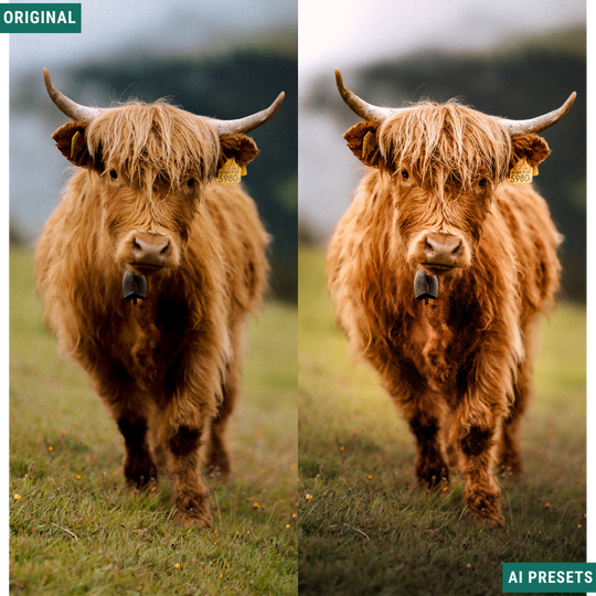 Subjects & Wildlife AI Photo Lightroom Toolkit