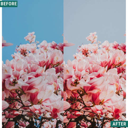 Klassisches Vista Lightroom-Voreinstellungspaket