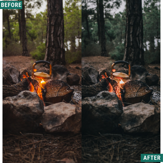 Dunkle Wälder Lightroom Presets Pack