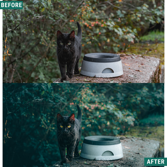 Tiefgrüne Lightroom-Voreinstellungen Pack