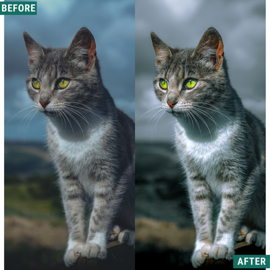 Tiefgrüne Lightroom-Voreinstellungen Pack
