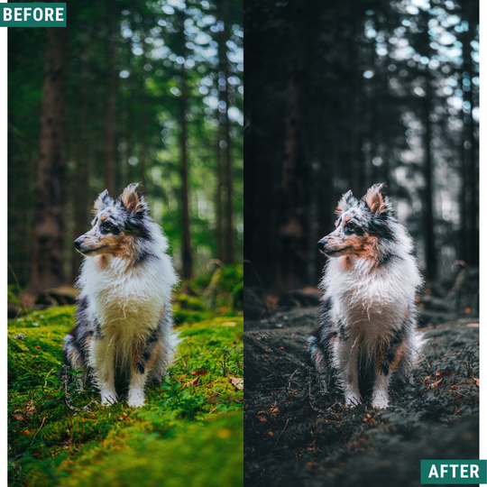 Rustic Blues Lightroom Presets Pack
