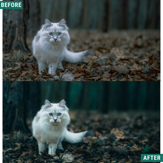 Tiefgrüne Lightroom-Voreinstellungen Pack