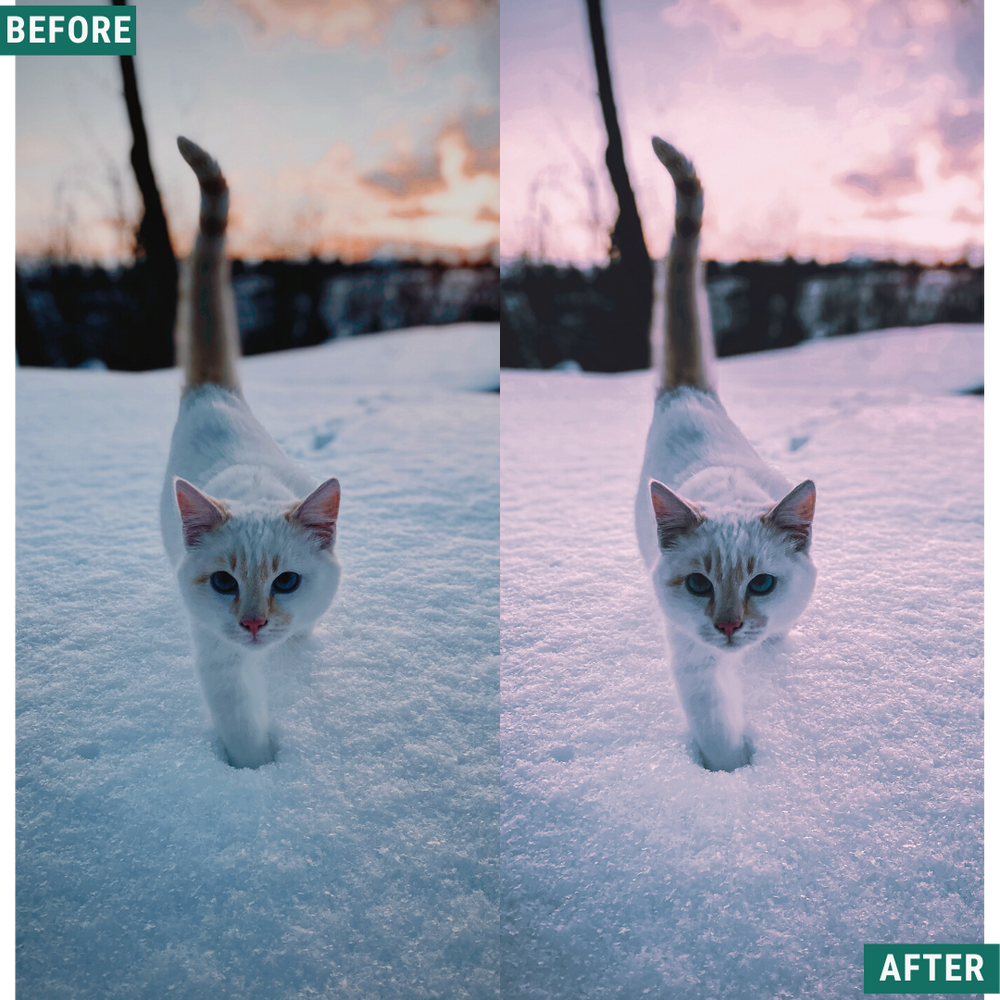 Winterdämmerung Lightroom Presets Pack