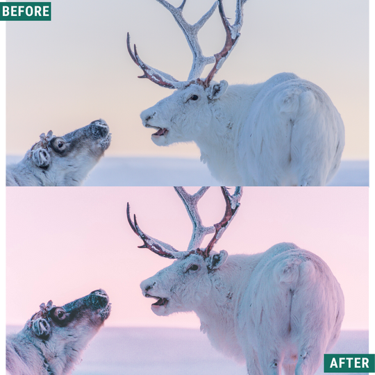 Winterdämmerung Lightroom Presets Pack