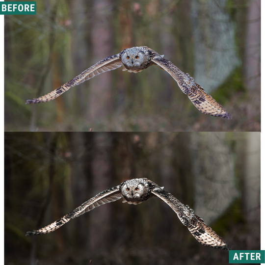 Dramatische Atmosphäre Lightroom Presets Pack