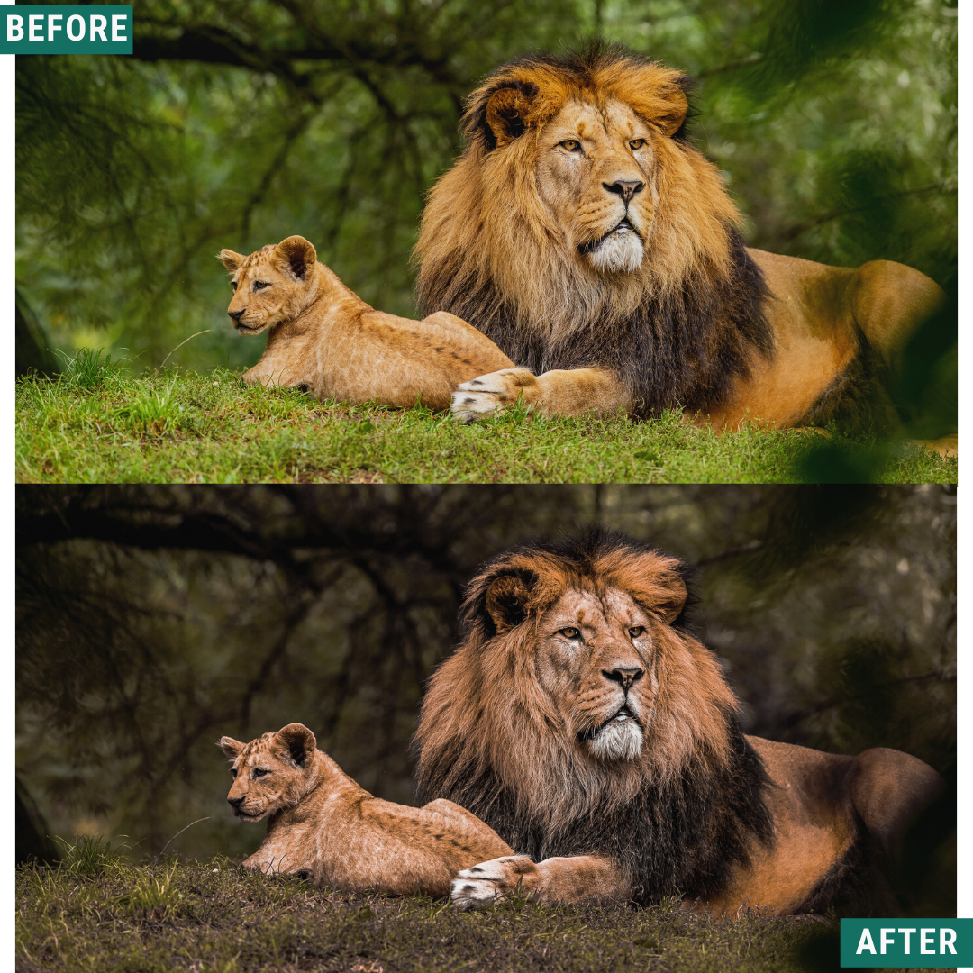 Rustikaler Herbst Lightroom Presets Pack