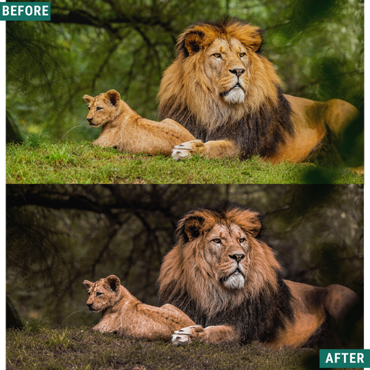 Rustikaler Herbst Lightroom Presets Pack