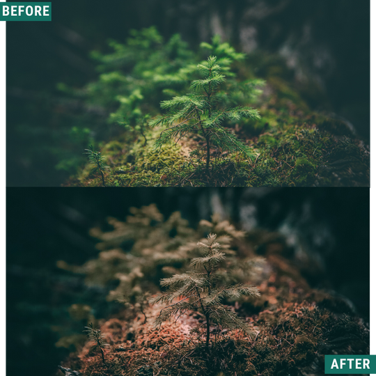 Rustikaler Herbst Lightroom Presets Pack