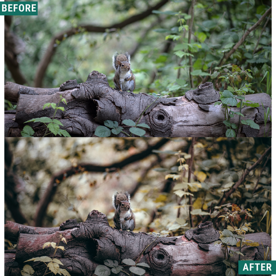 Rustikaler Herbst Lightroom Presets Pack