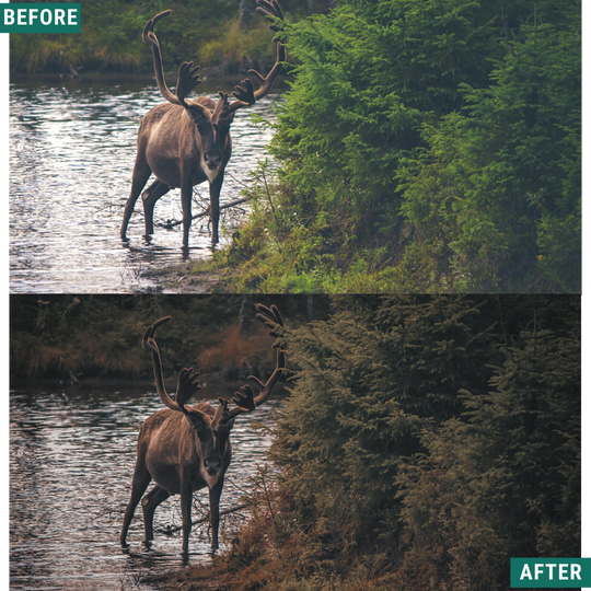Rustikaler Herbst Lightroom Presets Pack