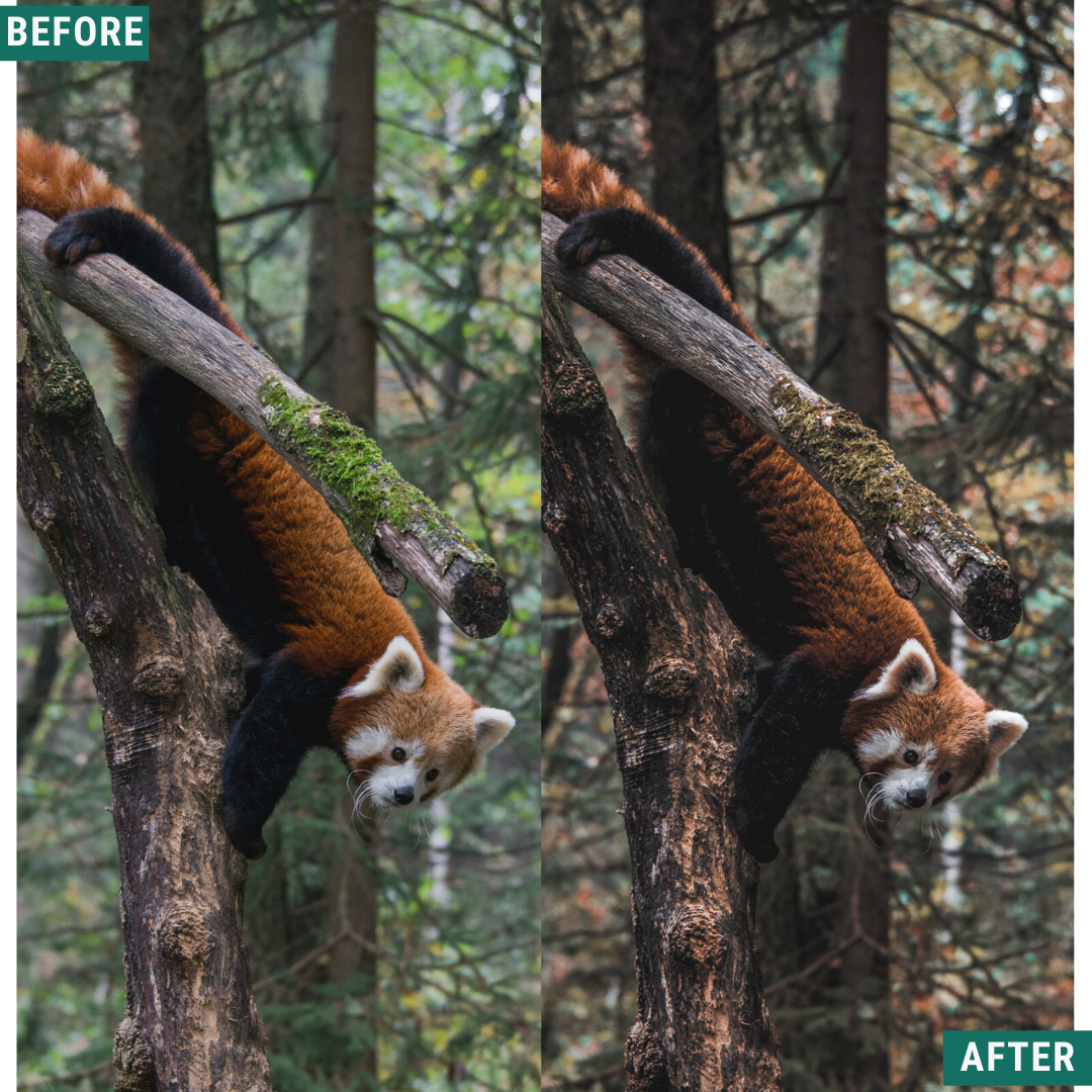 Rustikaler Herbst Lightroom Presets Pack