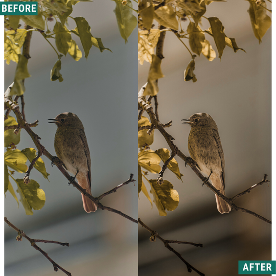 Rustikale Stimmung Lightroom Presets Pack