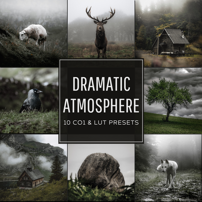Dramatic Atmosphere Capture One & LUT Presets Pack