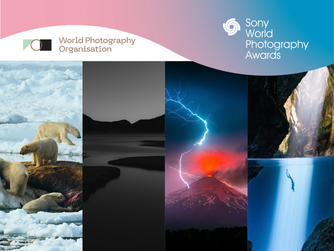 Sony World Photography Awards 2025: The Best Nature & Wildlife Images of the Year