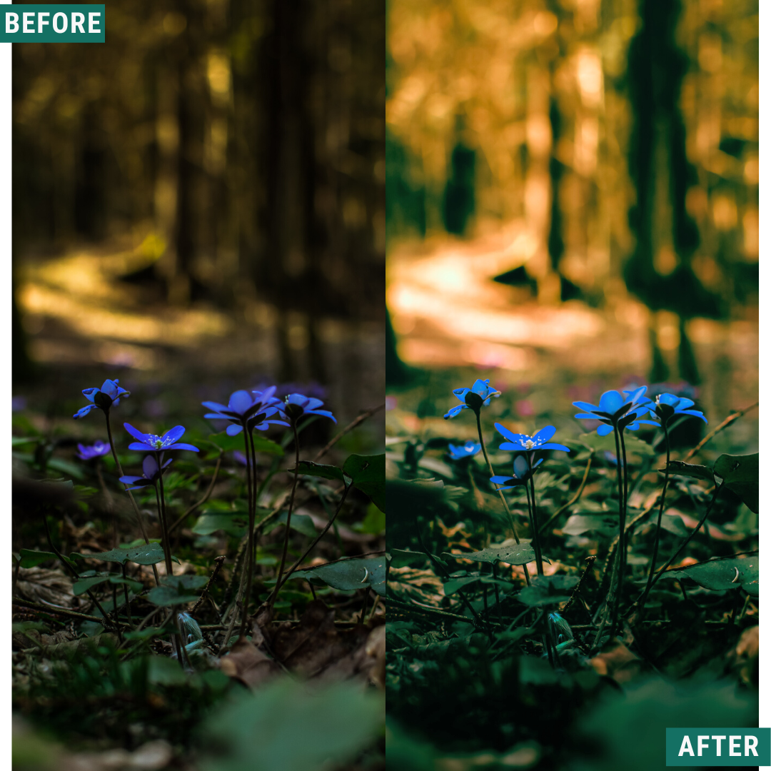 Rustic Spring Lightroom Presets Pack