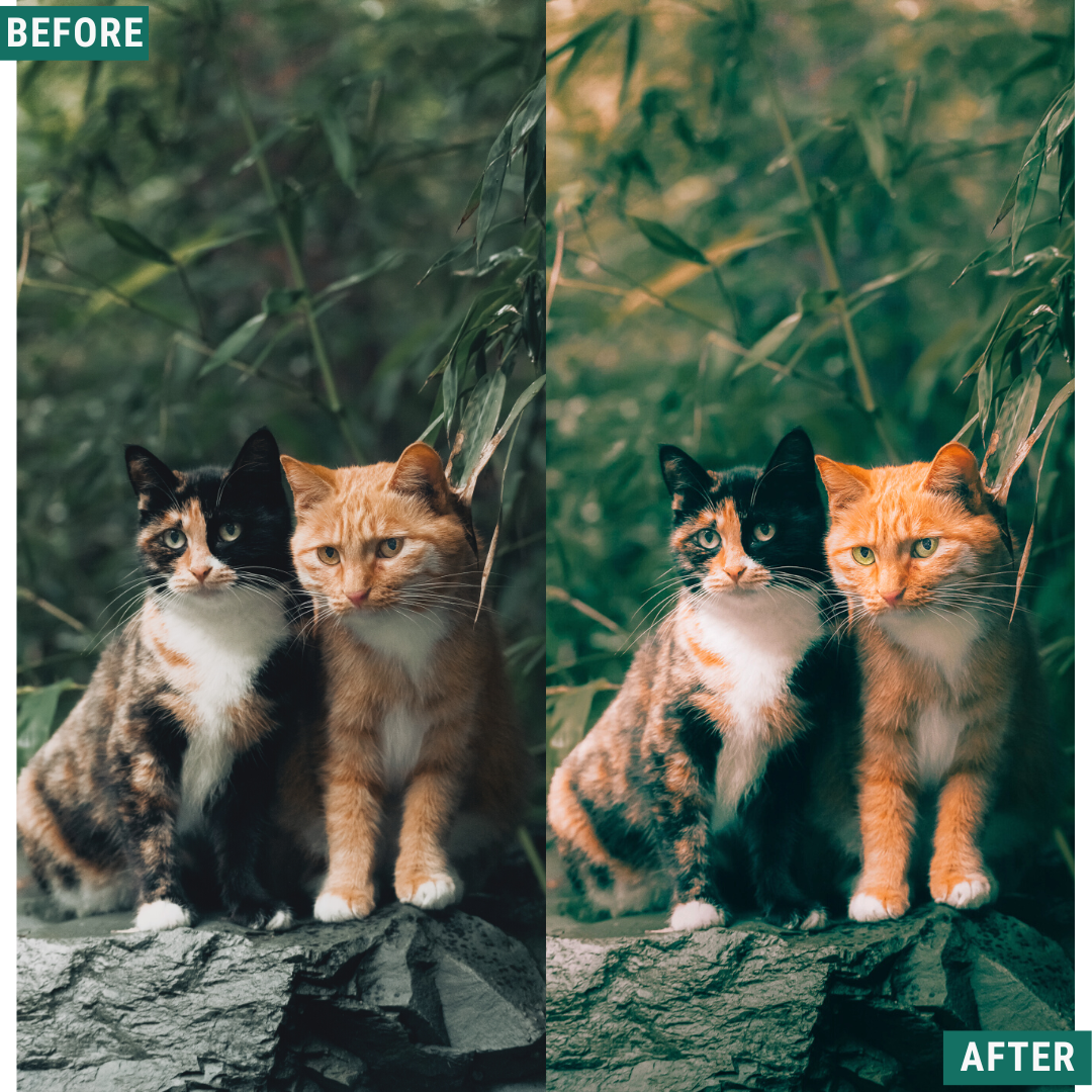 Rustic Spring Capture One & LUT Presets Pack