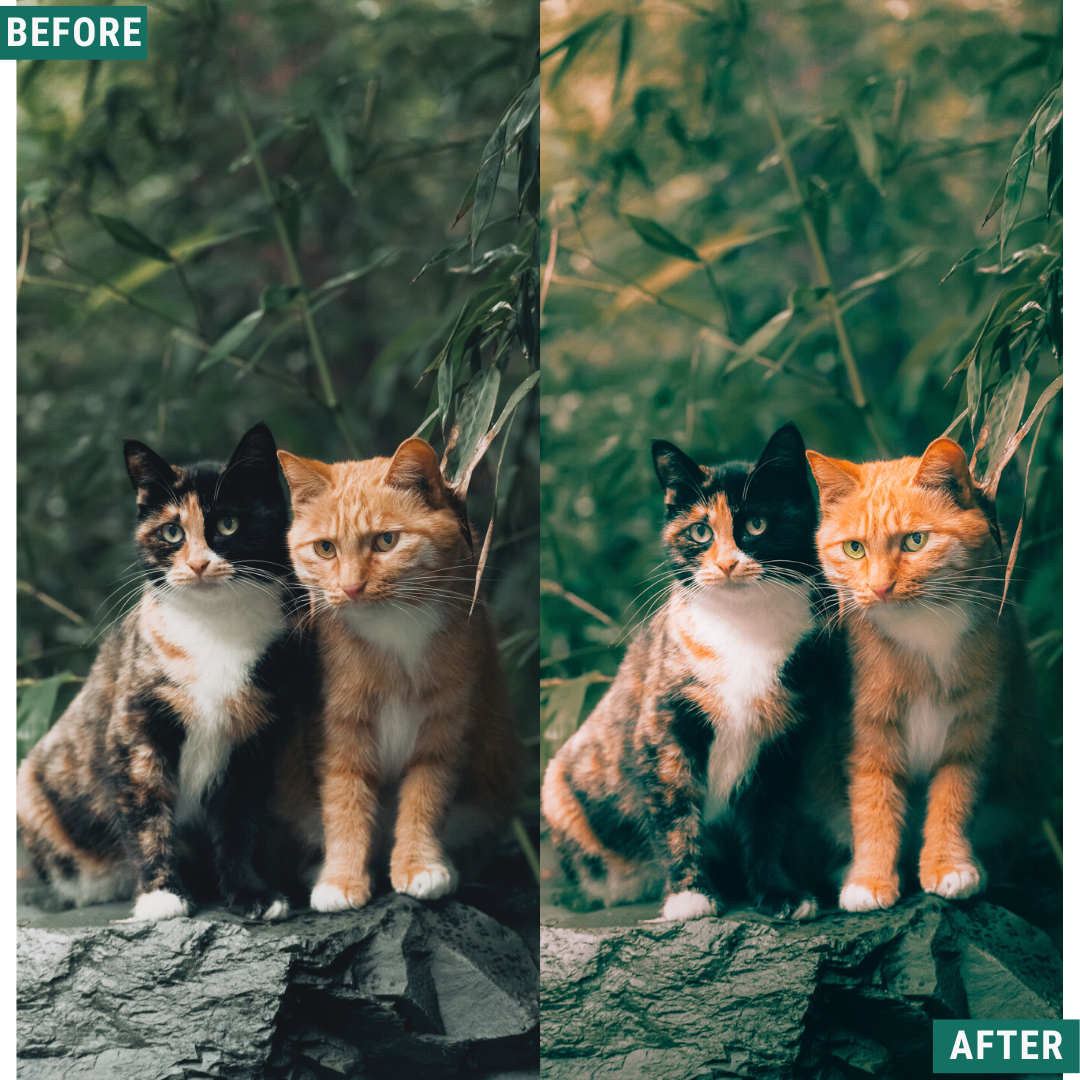 Rustic Spring LIMITED Capture One & LUT Presets Pack