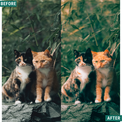 Rustic Spring LIMITED Capture One & LUT Presets Pack