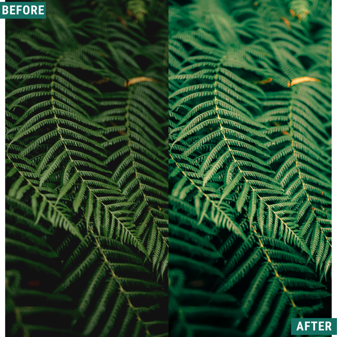 Rustic Spring Capture One & LUT Presets Pack