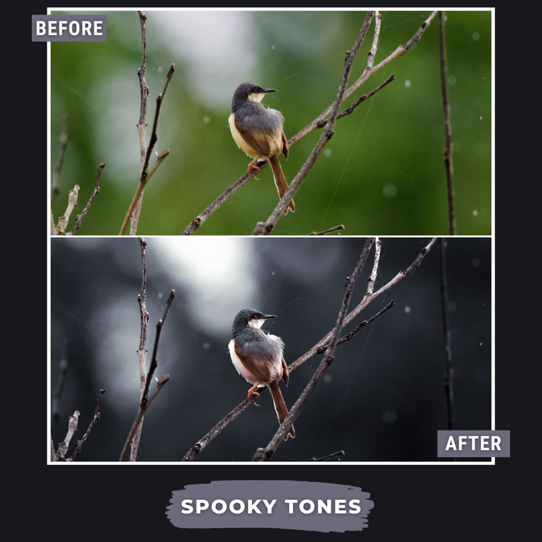 Spooky Bundle LIMITED 60 Lightroom Presets