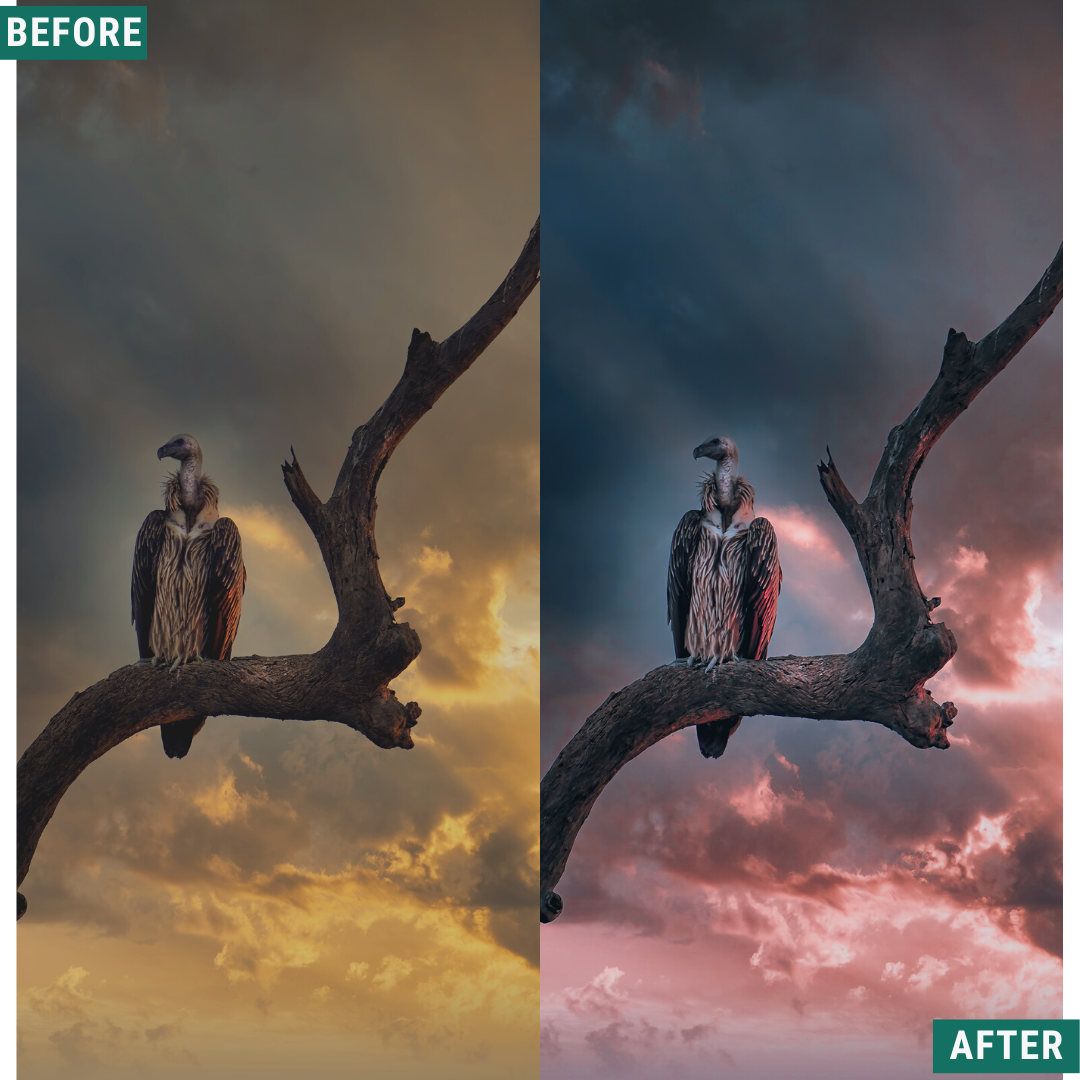 Blue Dusk Capture One & LUT Presets Pack