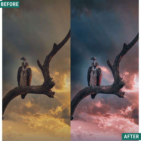 Blue Dusk LIMITED Lightroom Presets Pack