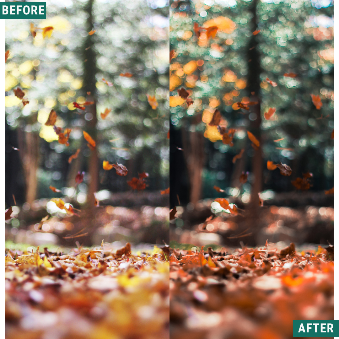 Rose Hour LIMITIERTES Lightroom-Presets-Paket