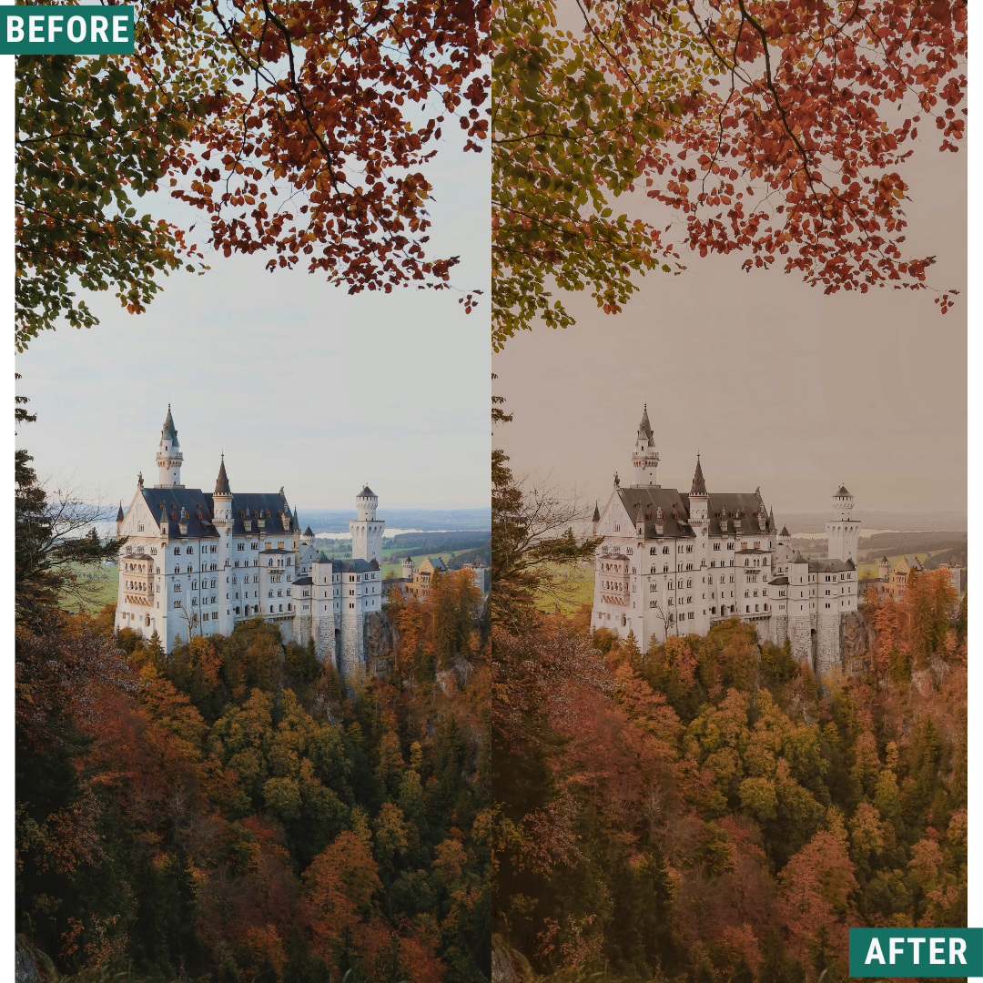 Gold Fields Lightroom Presets Pack