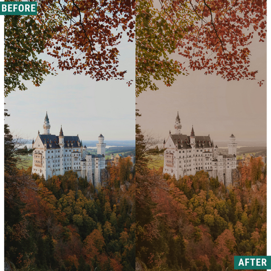 Gold Fields Lightroom Presets Pack