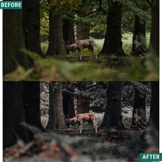 Muted Brown LIMITED Lightroom Presets Pack