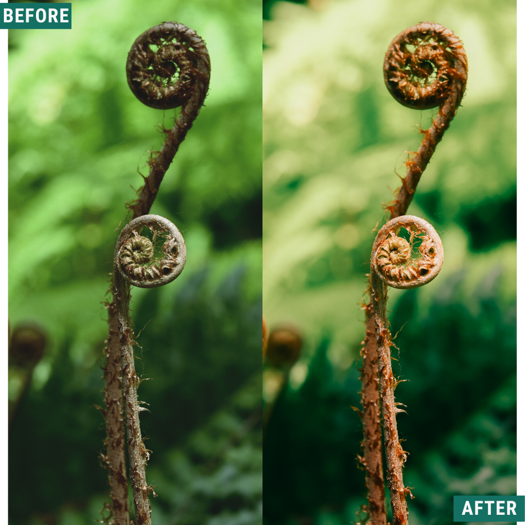 Rustic Spring Capture One & LUT Presets Pack