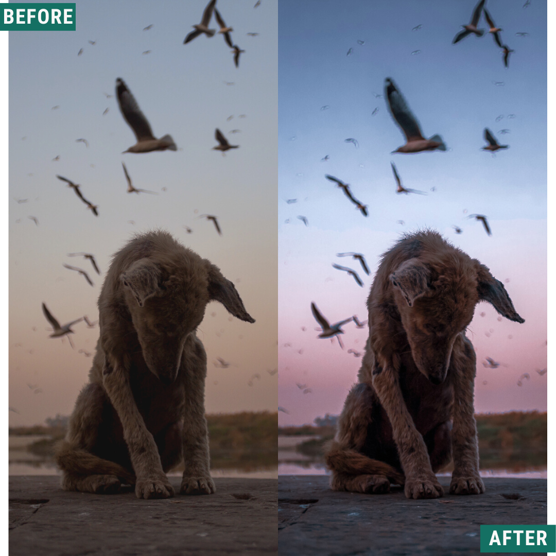 Blue Dusk Capture One & LUT Presets Pack