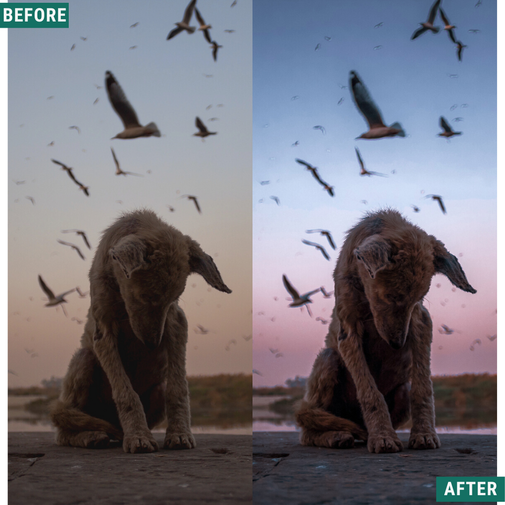 Blue Dusk LIMITED Lightroom Presets Pack