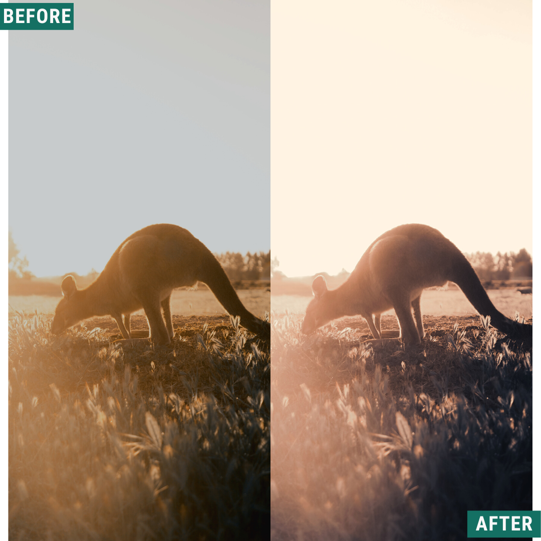 Gold Mood LIMITED Lightroom Presets Pack