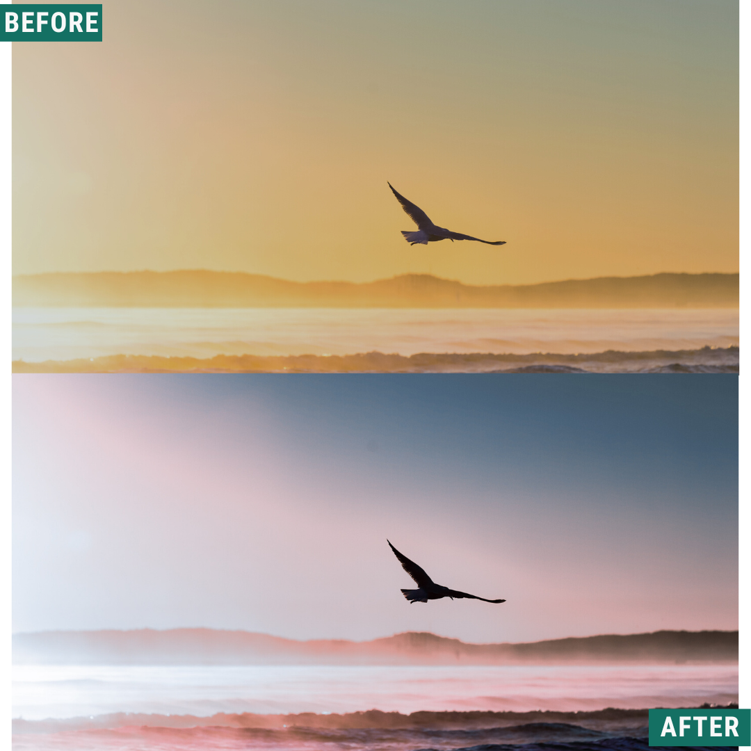 Blue Dusk Capture One & LUT Presets Pack