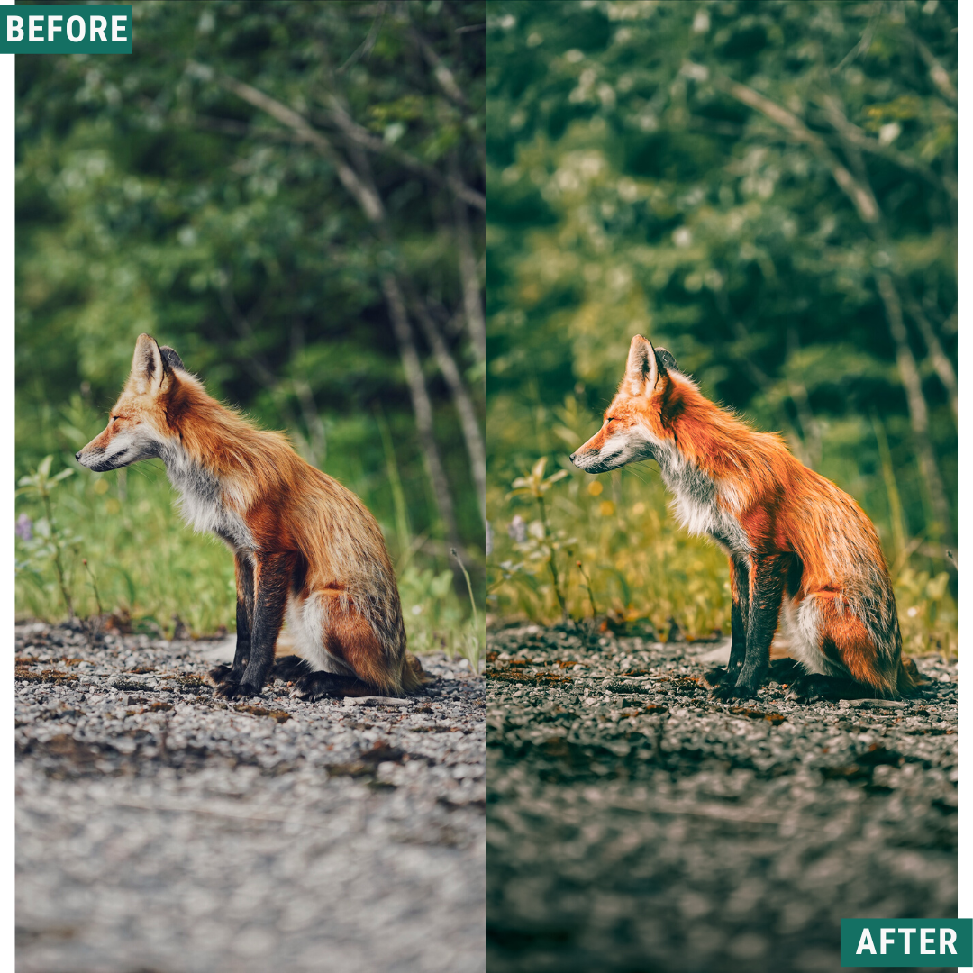 Rustic Spring Capture One & LUT Presets Pack